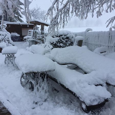 Hotel Olbernhau Mit Sauna - Kleines Landhotel Zur Ofenschenke Bagian luar foto