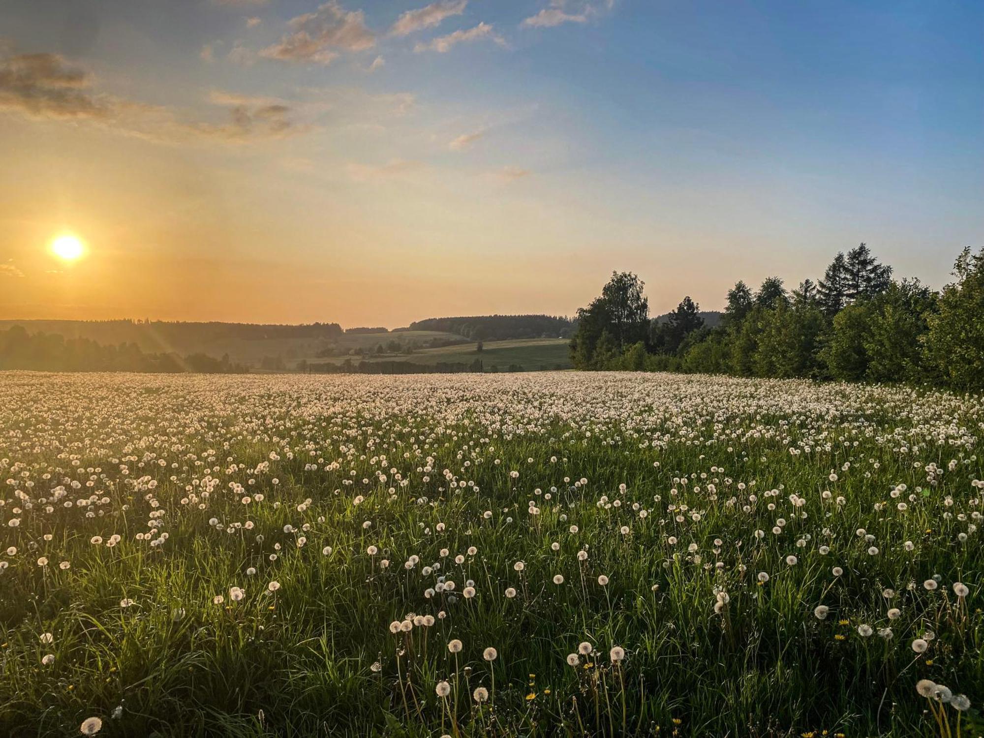 Hotel Olbernhau Mit Sauna - Kleines Landhotel Zur Ofenschenke Bagian luar foto
